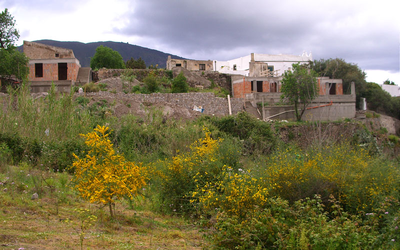 Ziino Antonio
