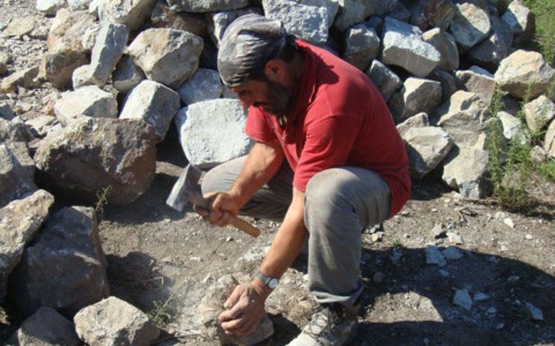 Ziino Antonio